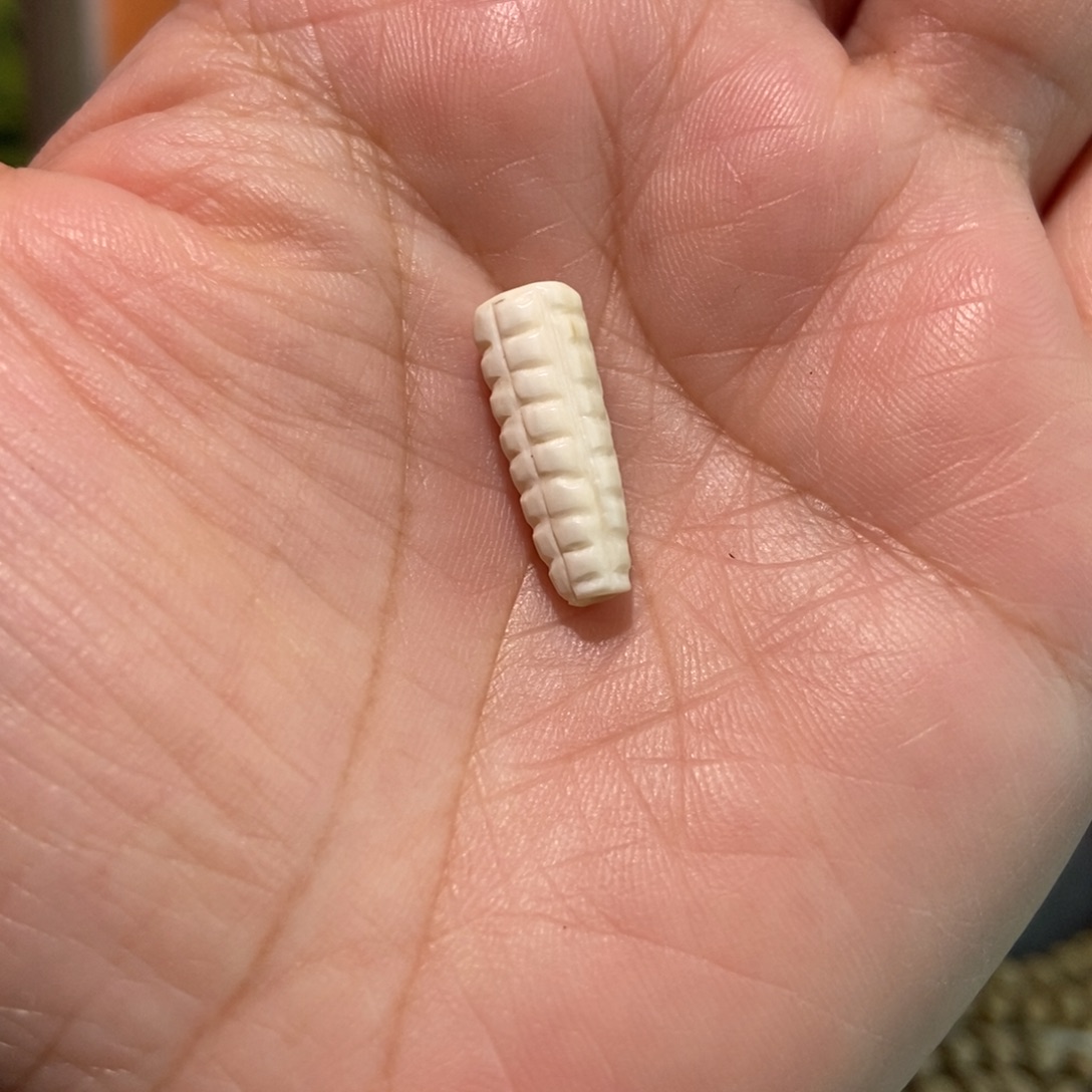 吊坠柏香籽/百香籽