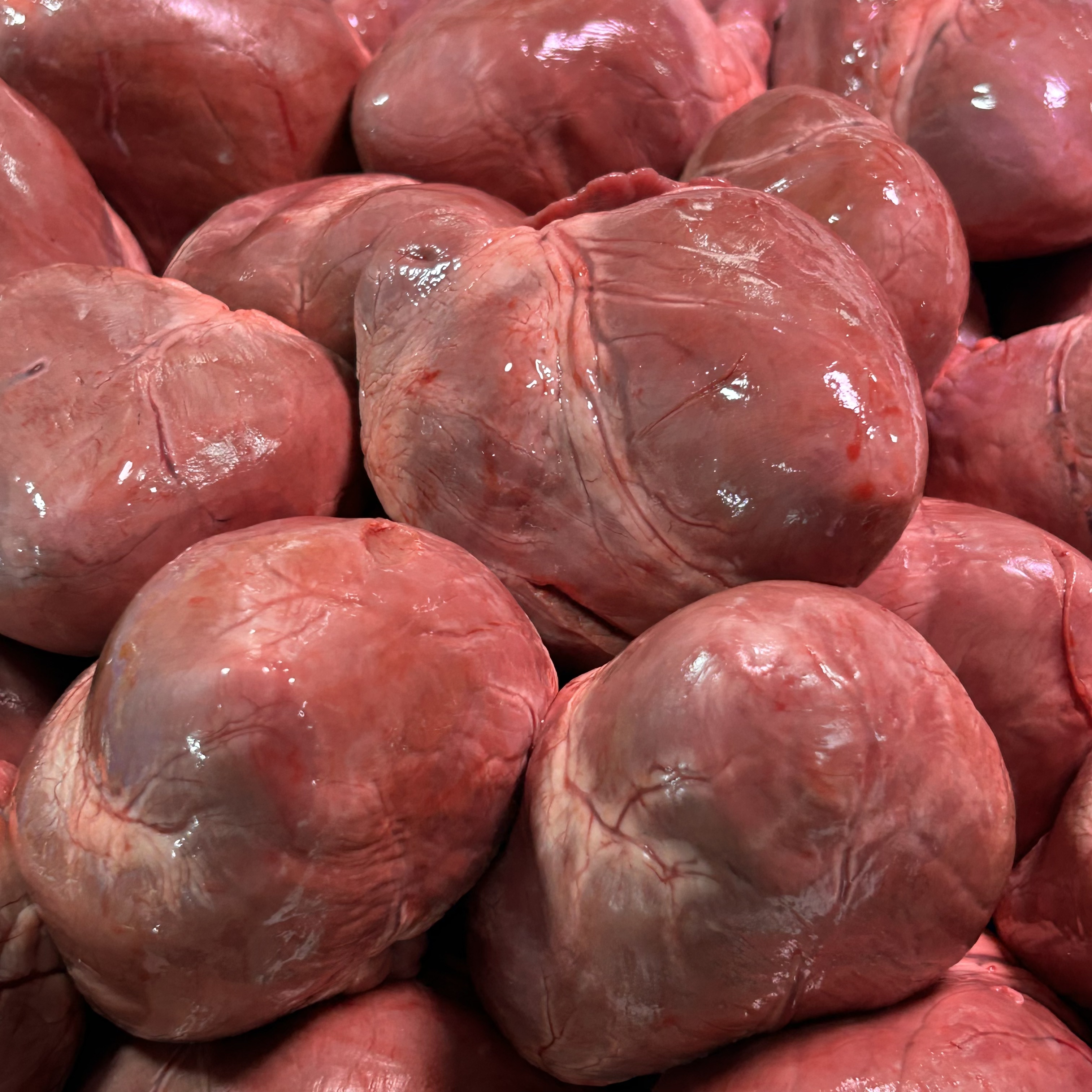 新鲜猪心顺丰/京东包邮可炖汤食用