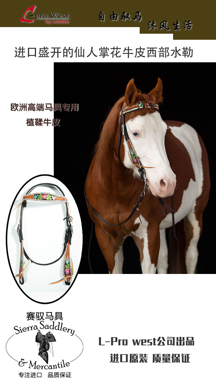 进口西部高端马术装备-盛开的仙人掌花牛皮西部水勒野骑单水勒