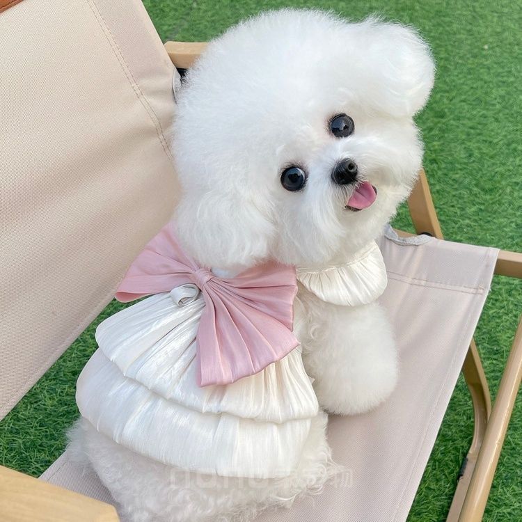 宠物衣服夏装薄款透气流光纱公主裙子泰迪比熊狗狗猫咪外出牵引新