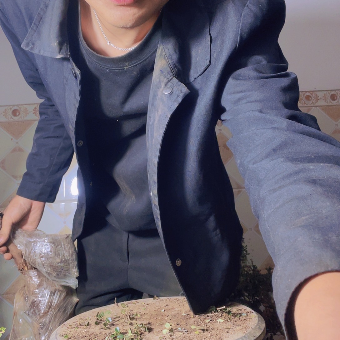 无花朵徐旅行箱下班你那边