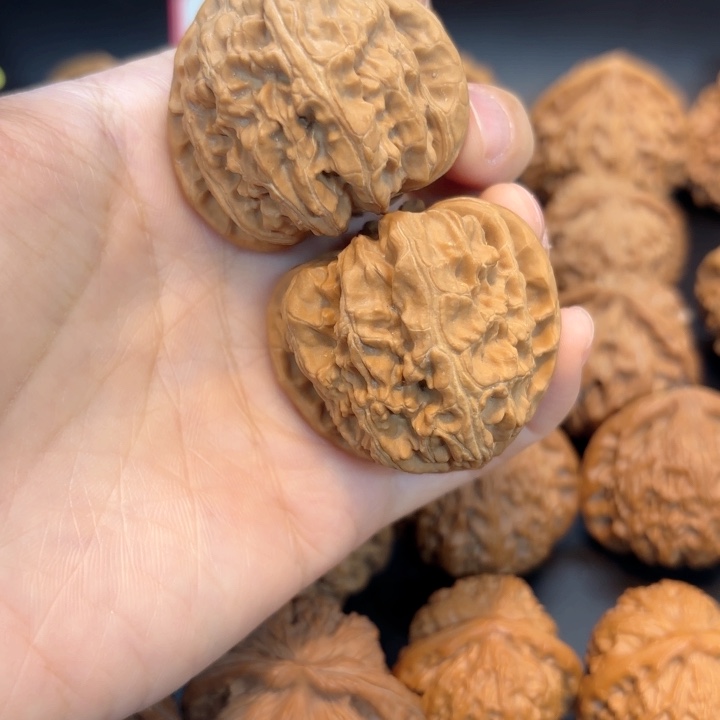 41三角白狮子头有修