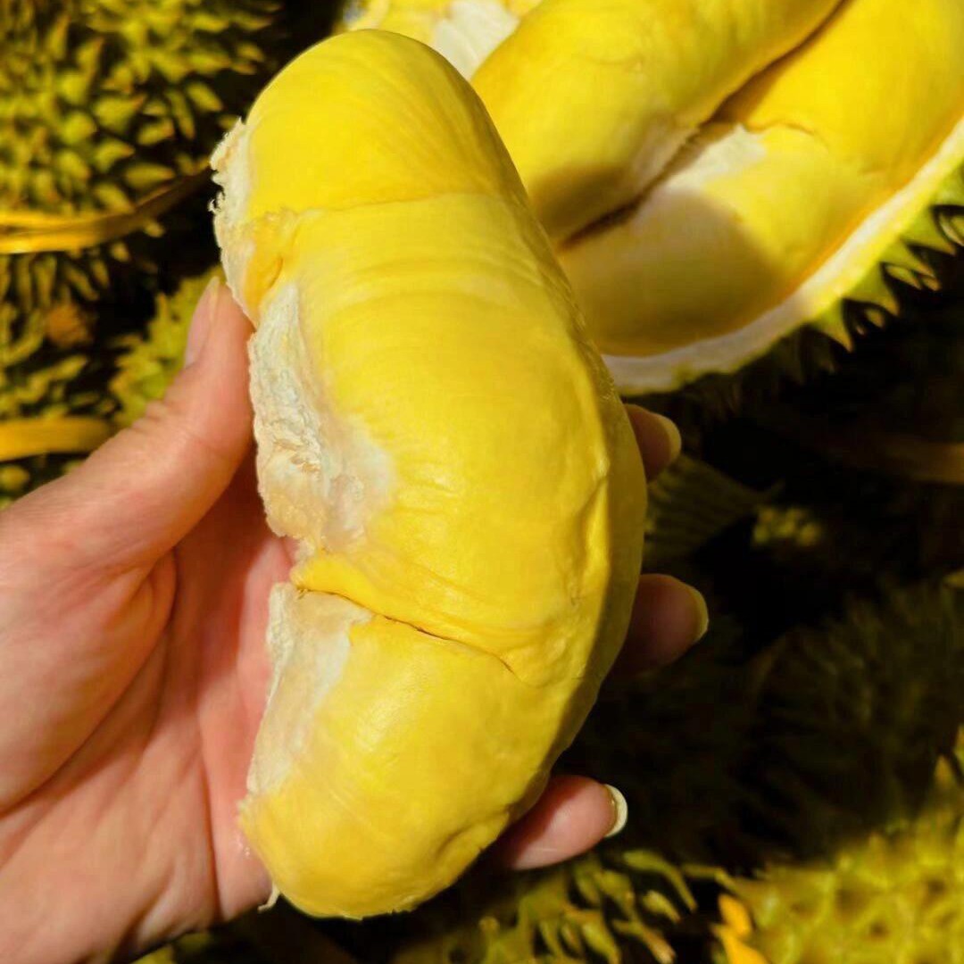 【干包大黄肉】泰国空运树上熟金枕榴莲新鲜核小【娄底同城】2-10斤金枕泰国