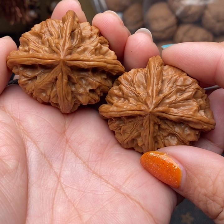 核桃野生四棱45尺度