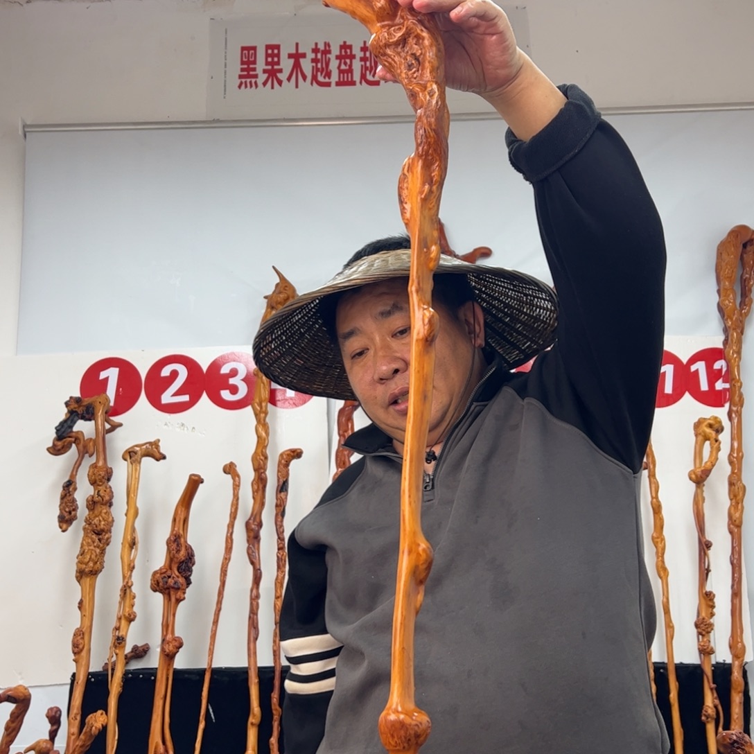 李***民其他黑果木黑果木797