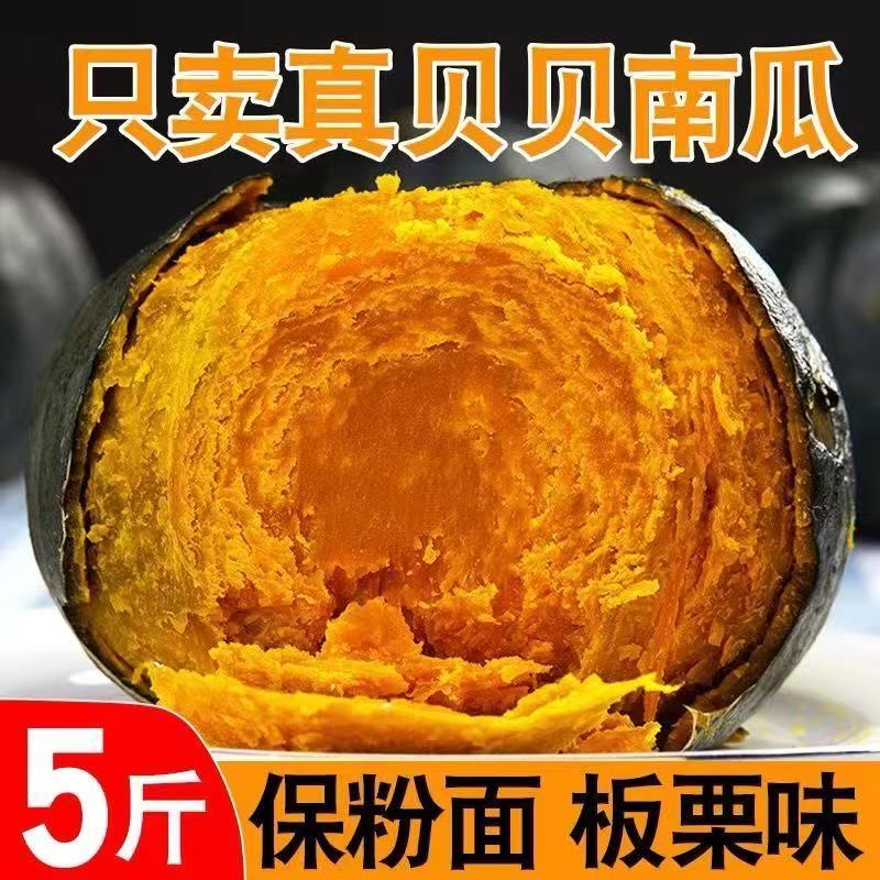 贝贝南瓜沙地新鲜采摘粉糯香甜板栗味贝贝南瓜粗粮代餐