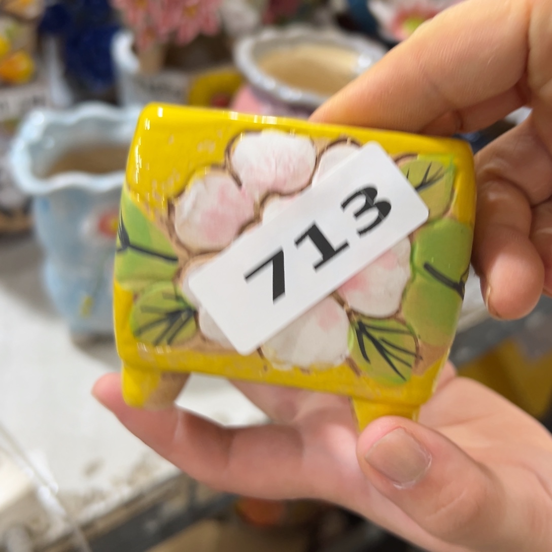 瑕疵713 满20米飞秒退拉黑多肉花盆