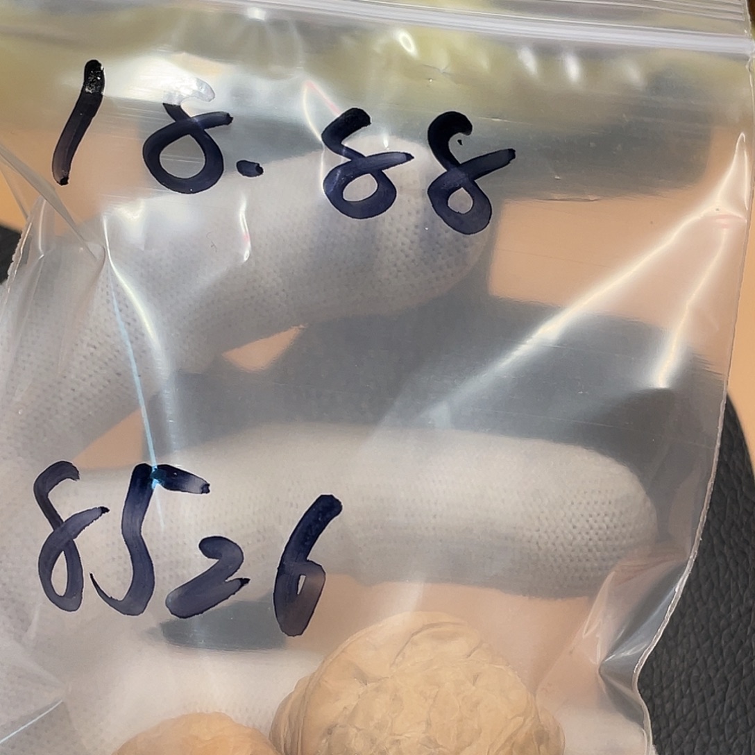 8***6吊坠文玩核桃南瓜