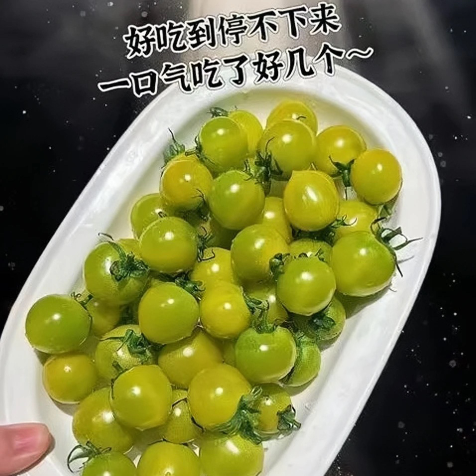青甜小番茄4斤口口爆汁现摘现发京东顺丰包邮