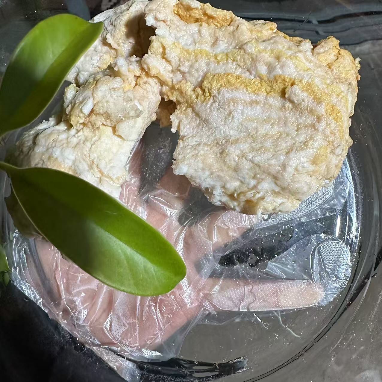 1【天-然-石-太-岁】净含量50g-1500g【阿虎现收】菌