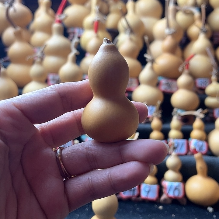 南****脑天然葫芦葫芦葫芦葫芦葫芦葫芦