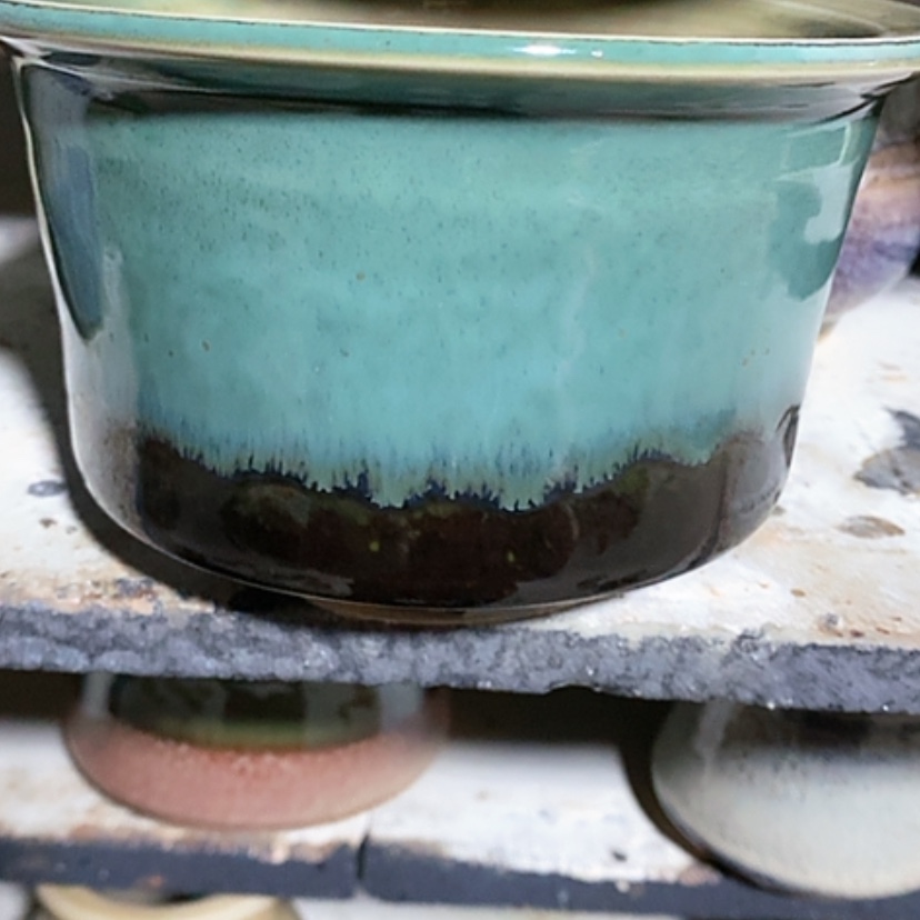 【闪购商品】红陶口12