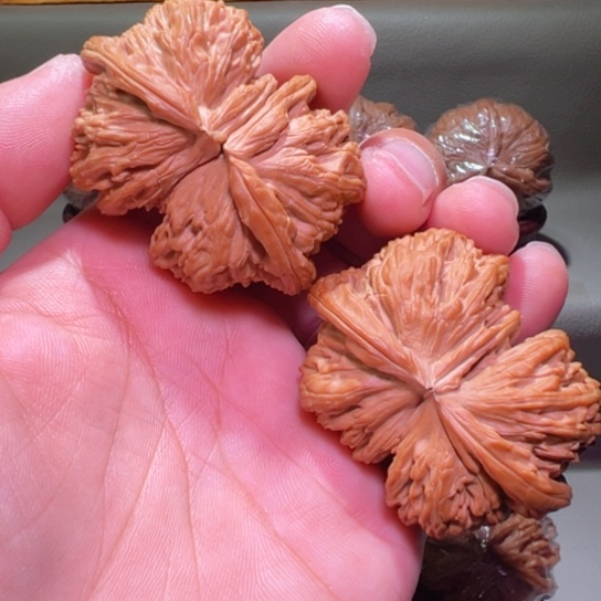 把件文玩核桃想****?顶级球连白狮子