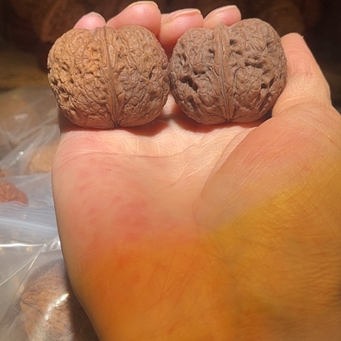 文玩核桃把件麒麟绣球彩阴39