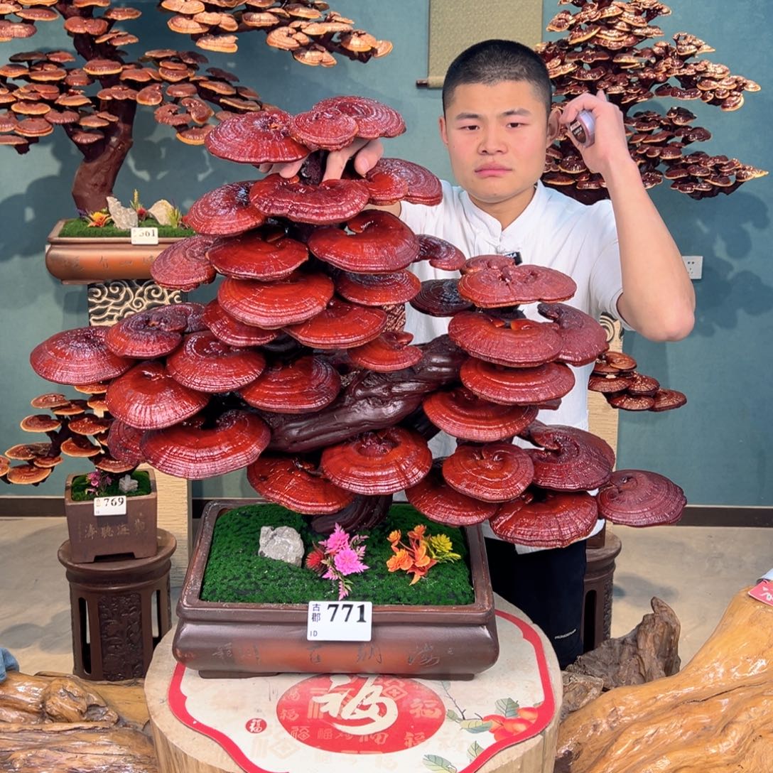 无花朵8888888888888