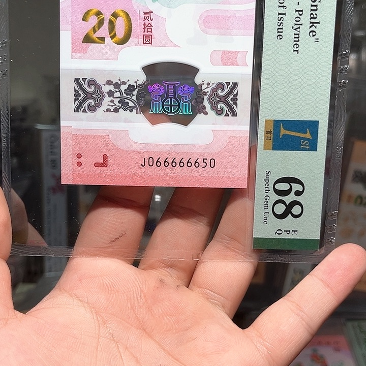 塑料亮蛇钞啊啊啊啊啊啊啊啊啊