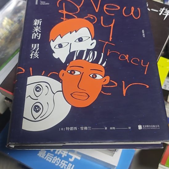 新来的男孩精装塑封库存书