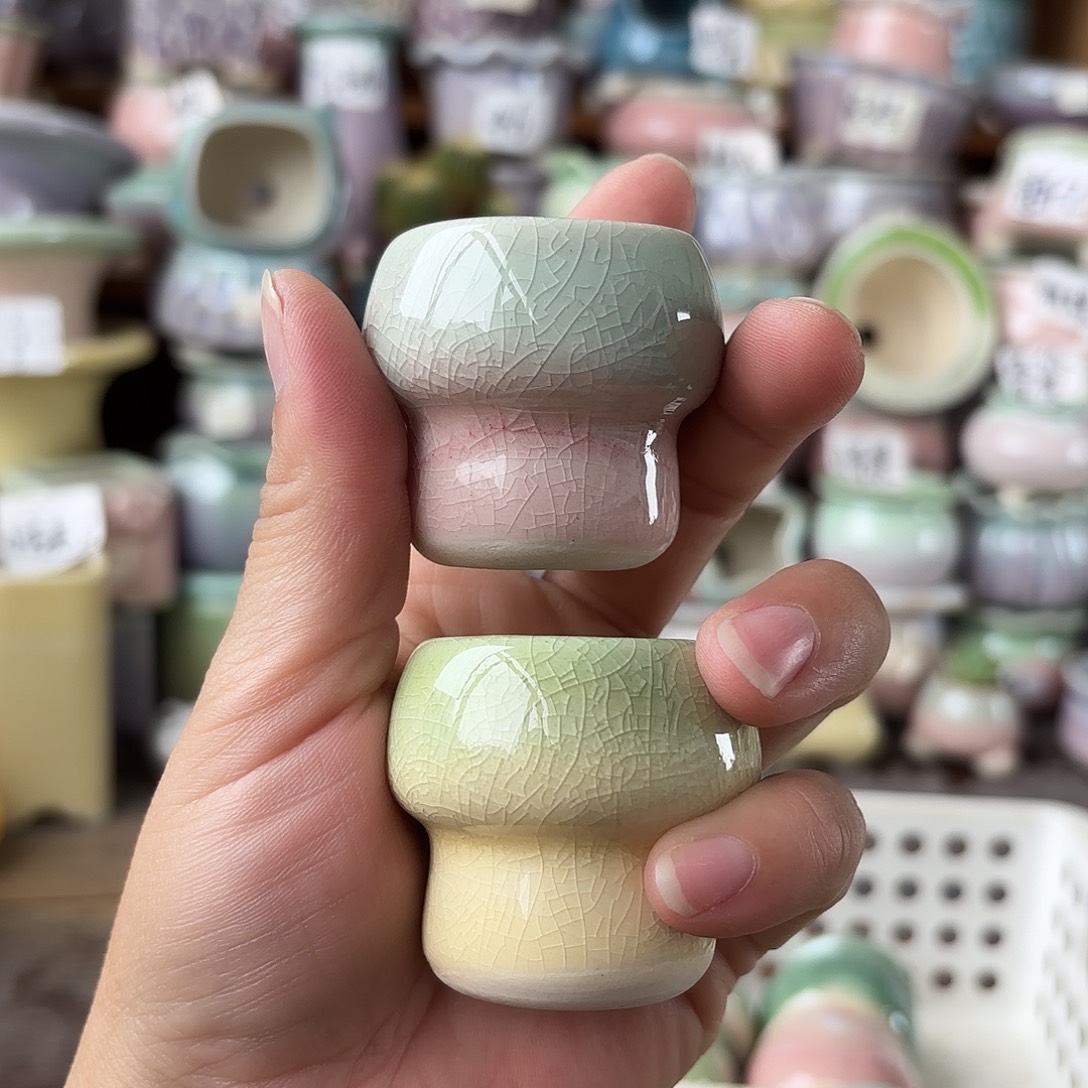 量货/口3高4深浅搭配发12