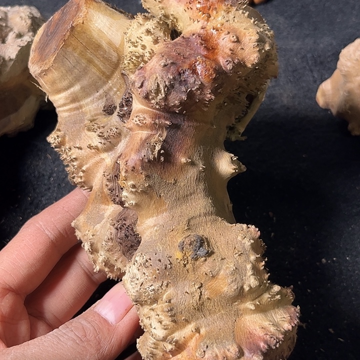 @***号香榧木我们的确是一个人的生活