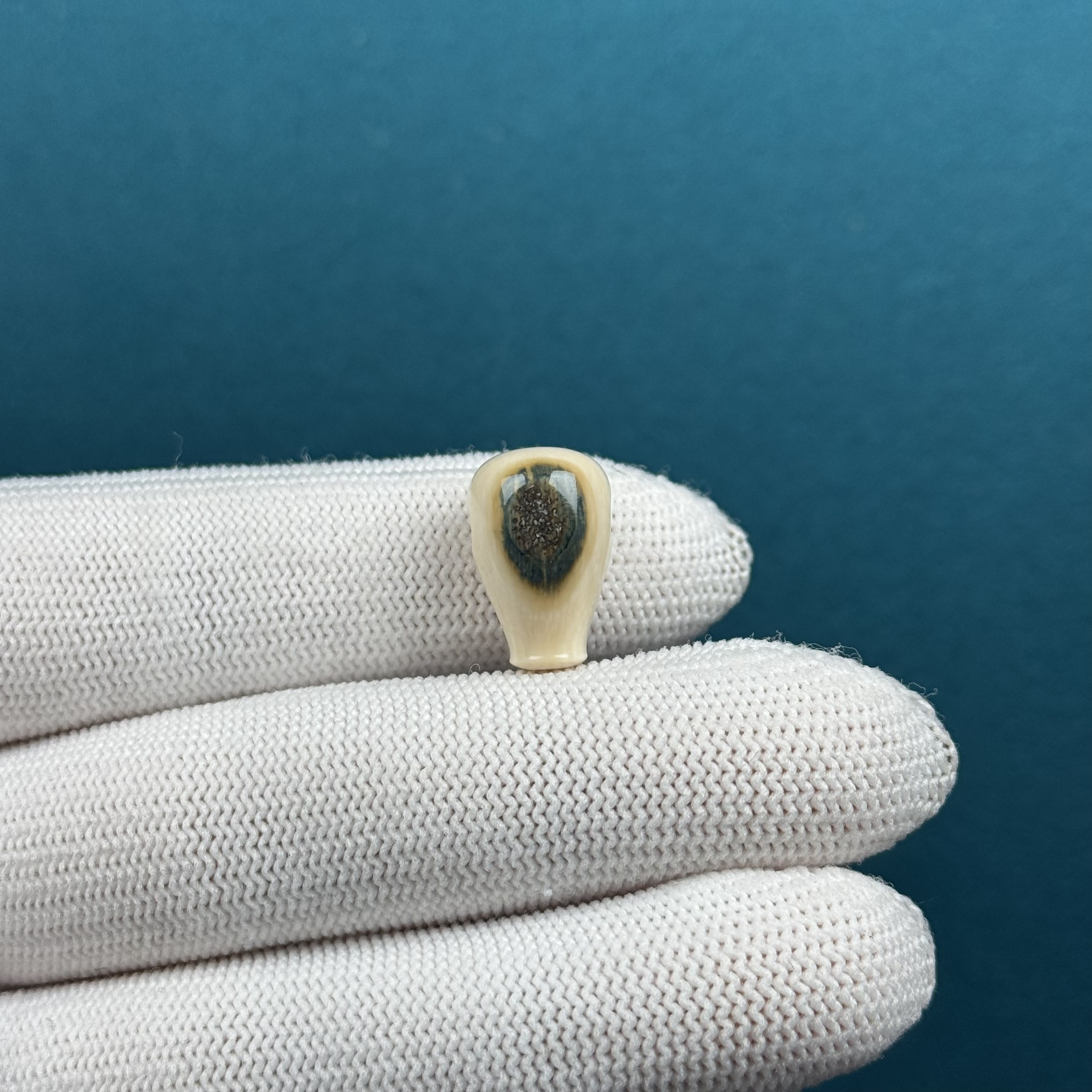 D83-77天然猛犸牙 蓝眼睛三通 10.5*16.3mm支持复检假一罚十