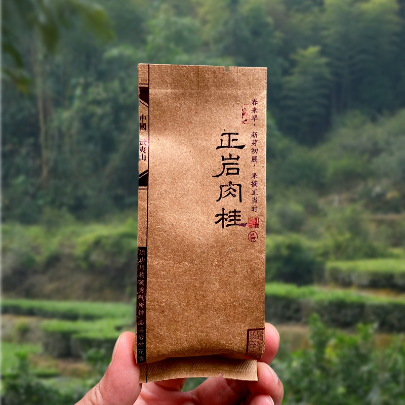 【老枞•正岩肉桂】25新茶高山肉桂花香桂皮香甘醇饱满武夷山岩茶