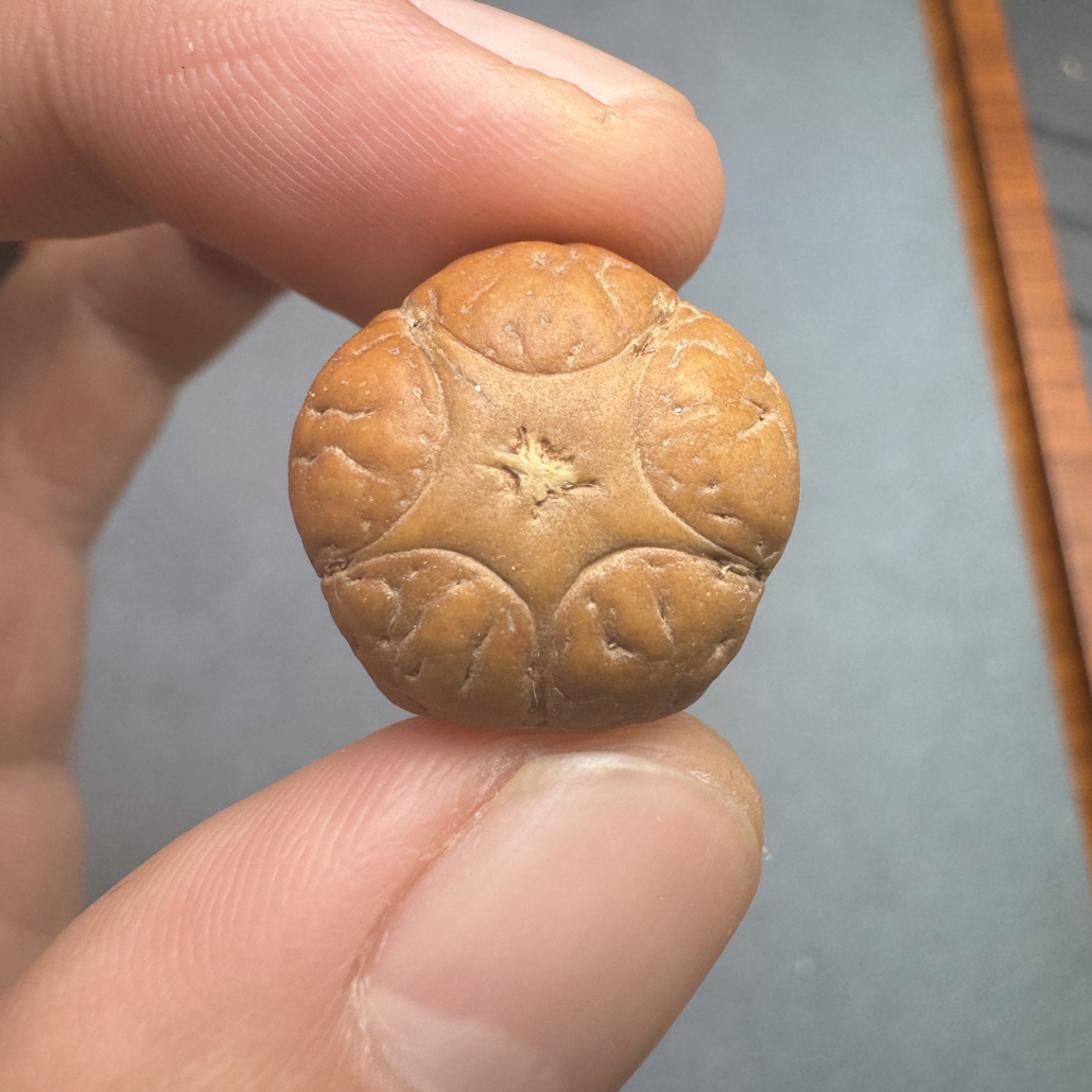 微裂19+尼泊尔梅花五星上将菩提凤眼三通佛头，非质量问题开孔不退