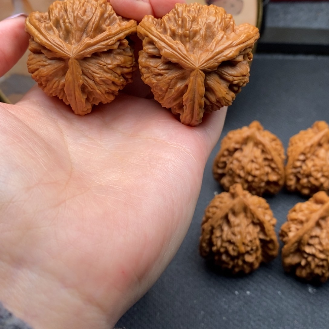 ?*生白狮子111111111