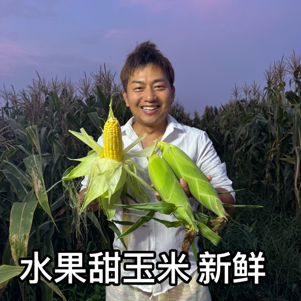 【土豆专属】超甜水果玉米新鲜现摘带皮甜玉米新鲜现摘新鲜玉米即食