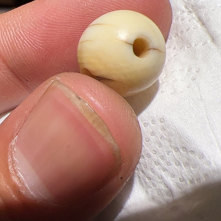 香榧木在家了一个小时