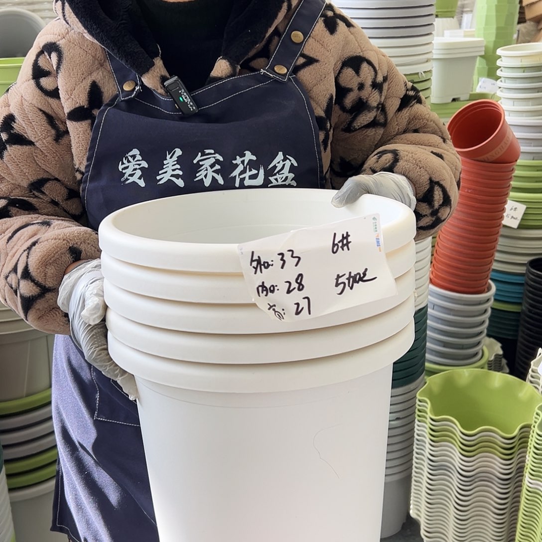 四季盆6#白色5个无托