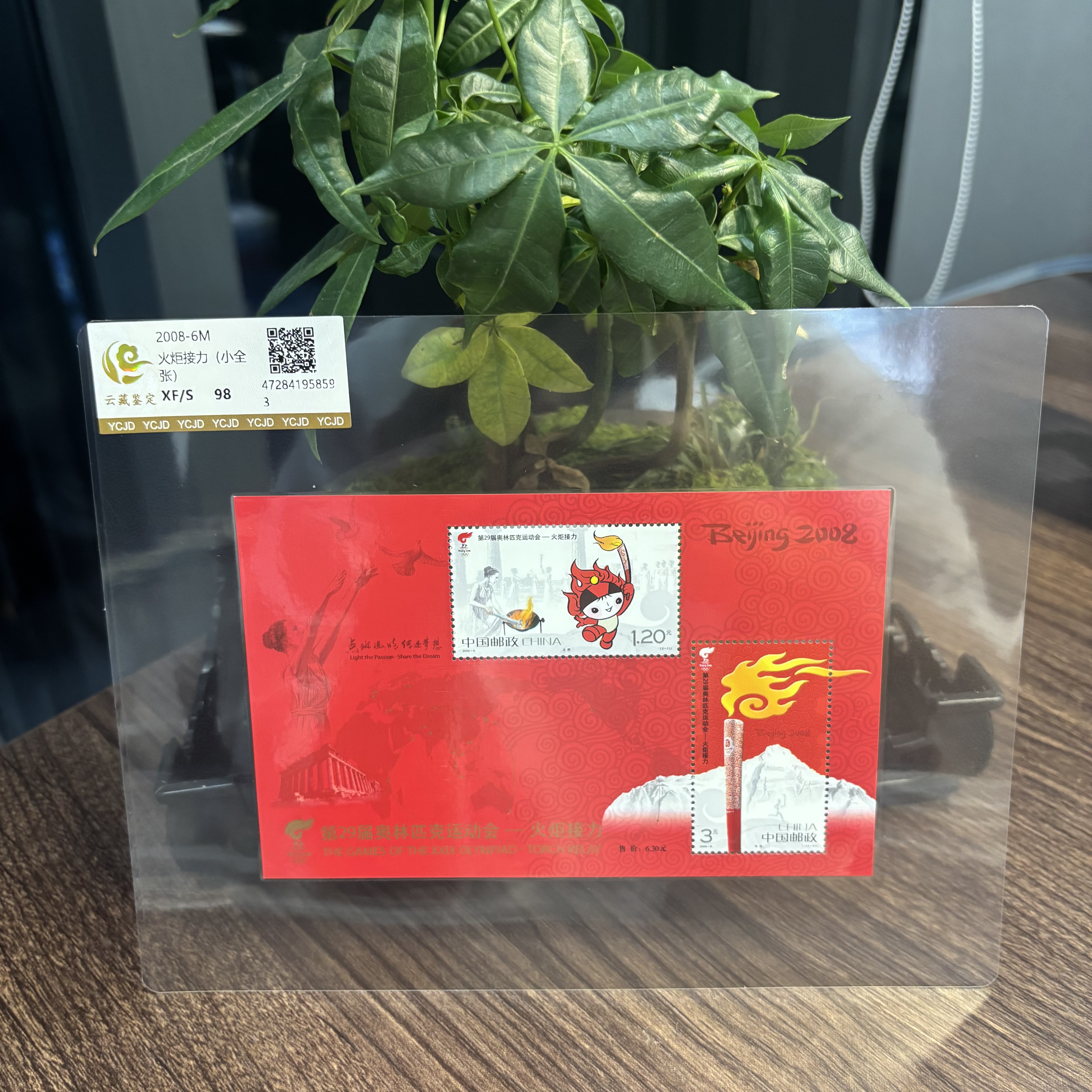 2008-6M 火炬接力 小全张邮票