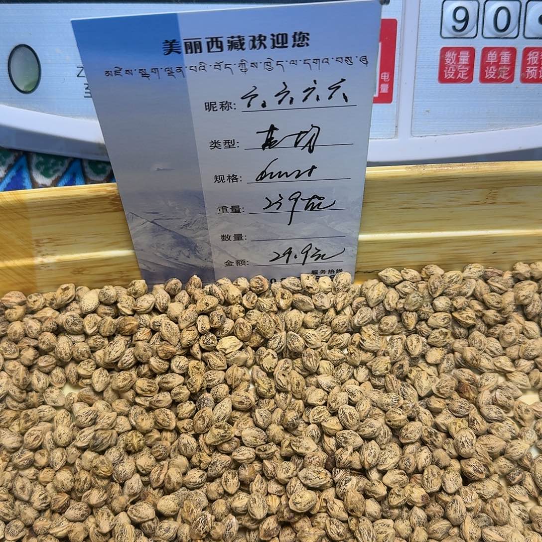 六***六柏香籽/百香籽吊坠