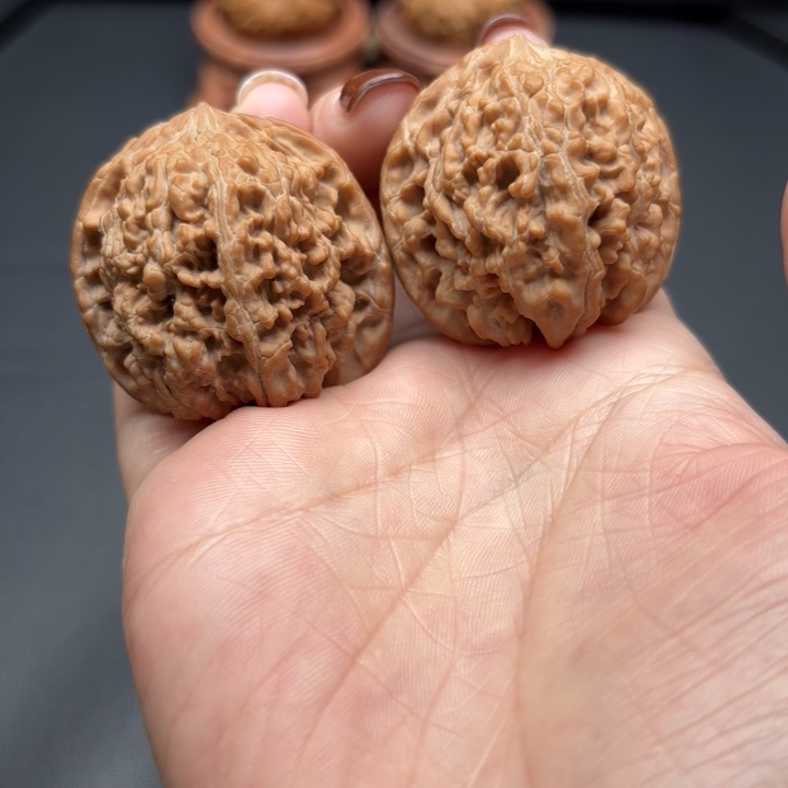 核桃⑨*满天星38尺全品