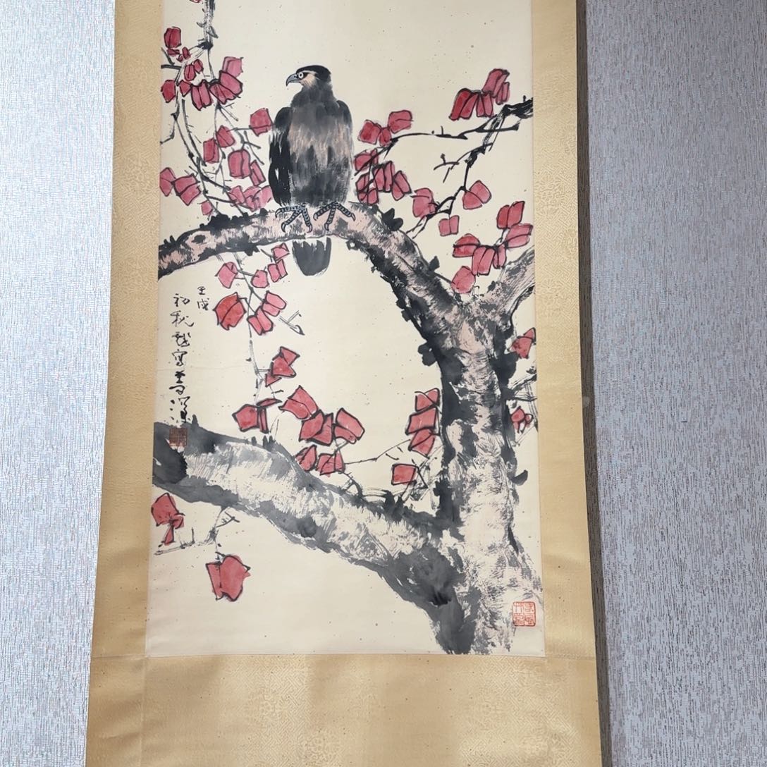小张专用专拍链接