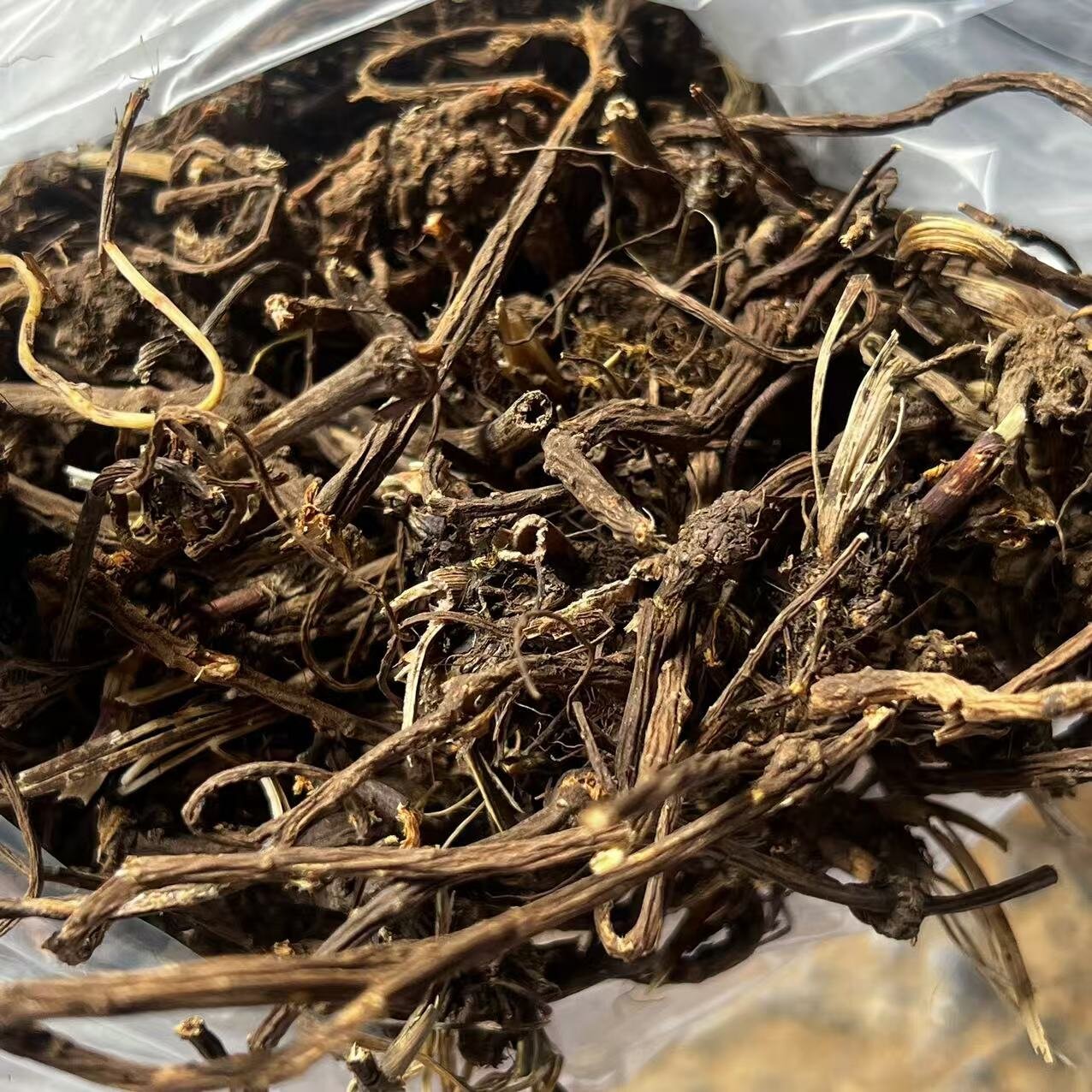 云南大山好物-小九专属【元气参】