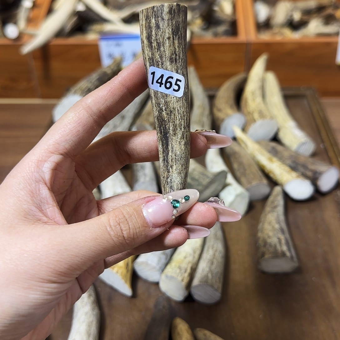 鹿骨手串/手链1465角尖