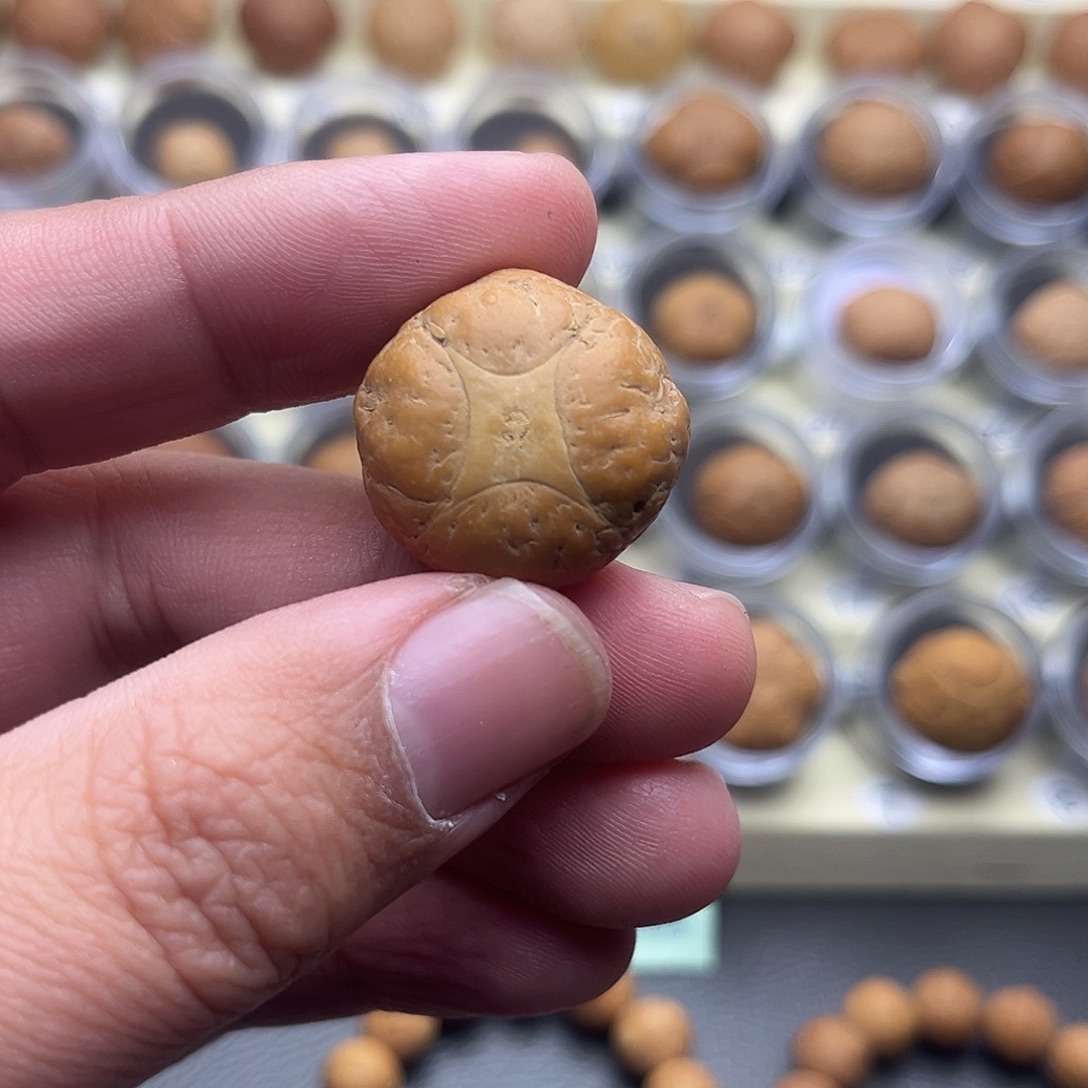 蒋***生凤眼菩提吊坠4星打孔不退换