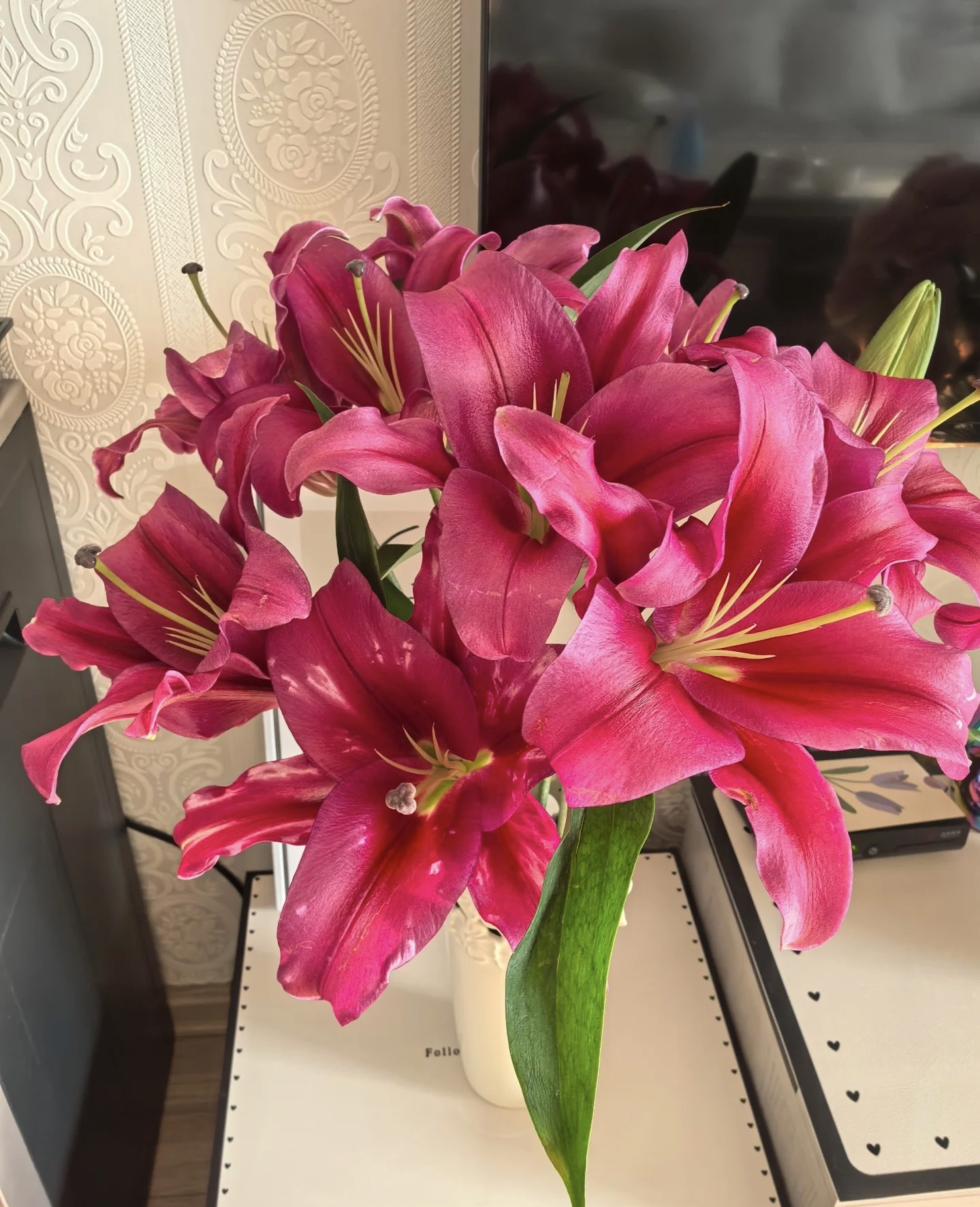 【泡泡百合】【帕拉佐】昆明基地直发香水百合鲜花