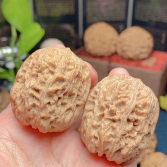 文玩核桃吊坠36全品原桩西北