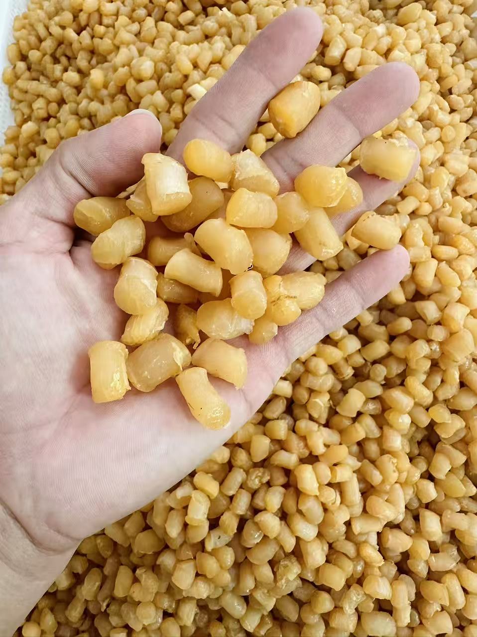 大干 鲜瑶柱干贝 人工晾晒 深海大扇贝煲汤煮粥蒸水蛋新鲜营养 