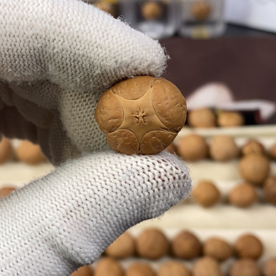 凤眼菩提吊坠19.4五星单颗