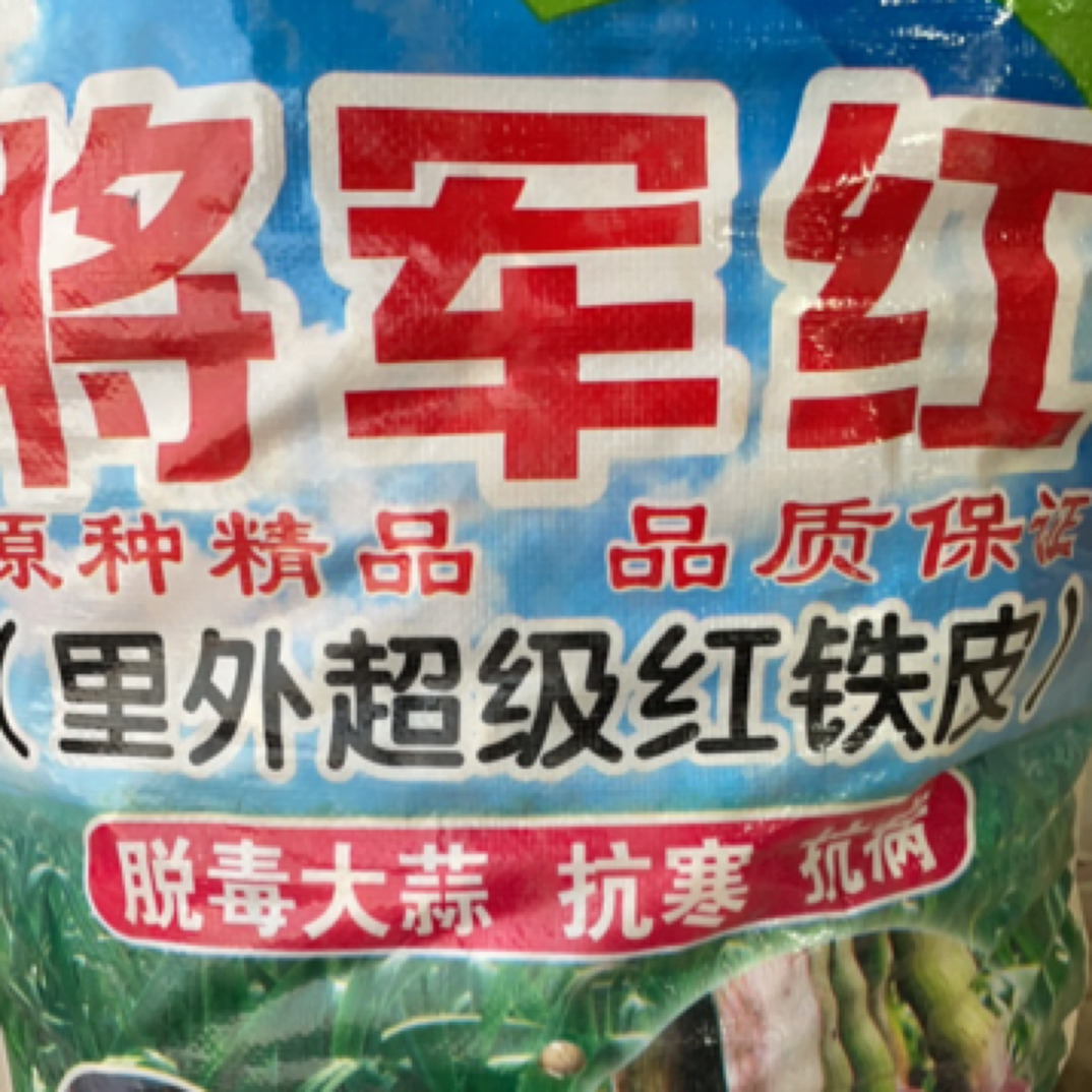 将军红大蒜（每袋70斤）