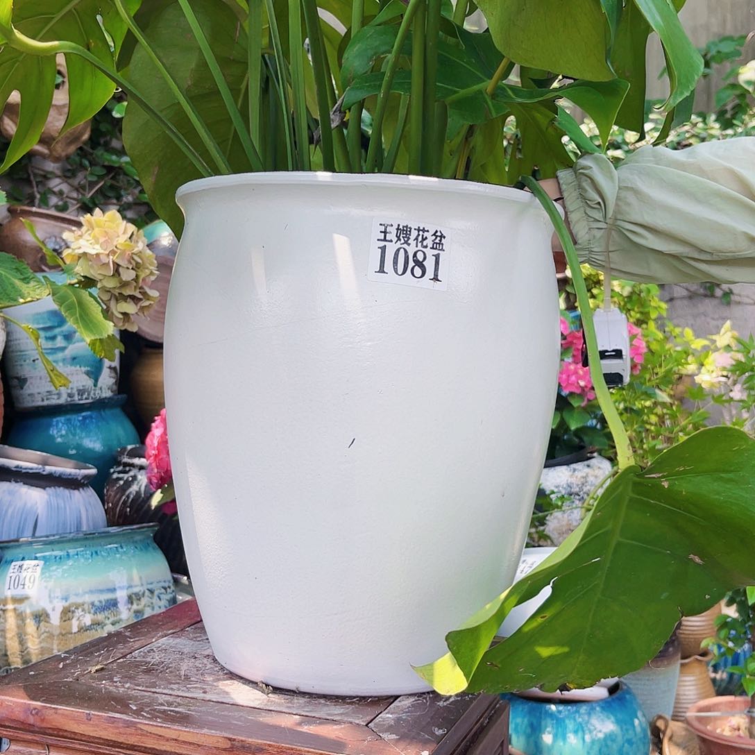 紫砂花盆王嫂花盆直播0525-1081高32口28