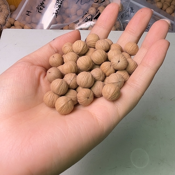 手串猴头核桃双歧南瓜100颗