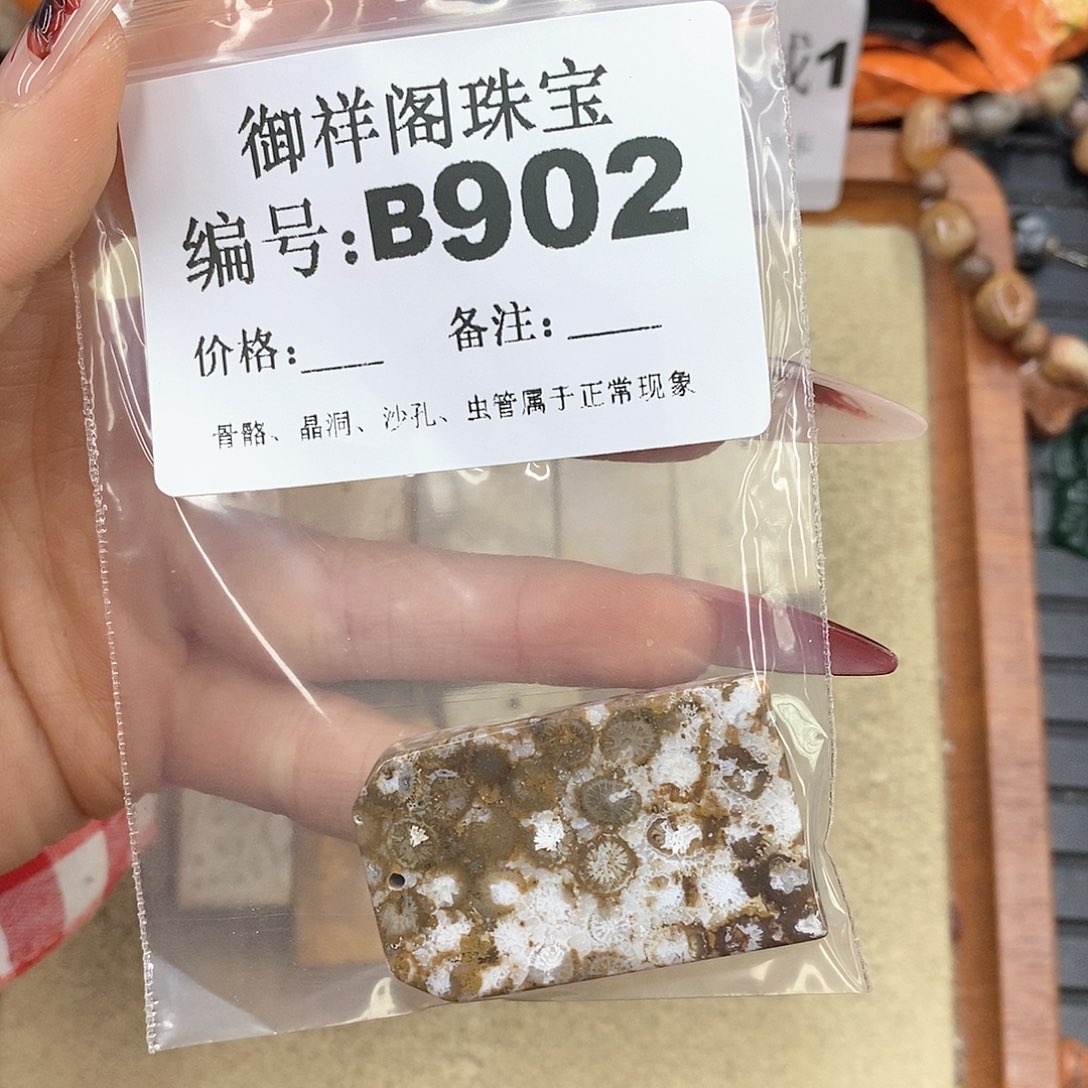 硅化珊瑚（珊瑚玉）颈饰未镶嵌E****.