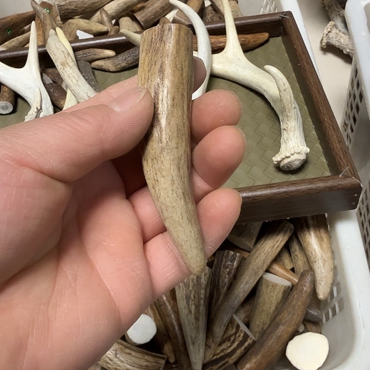 香榧木工艺品鹿角原料