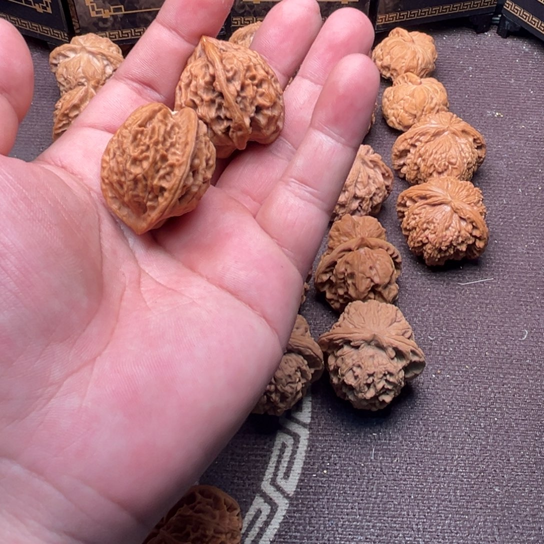 知***夏核桃三棱11111111111