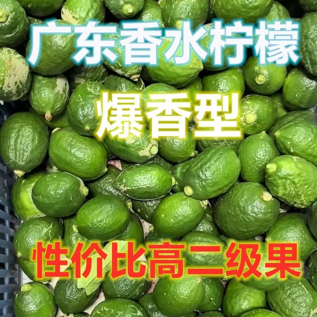 广东香水柠檬二级果新鲜现摘香气足奶茶店饮品专用水果