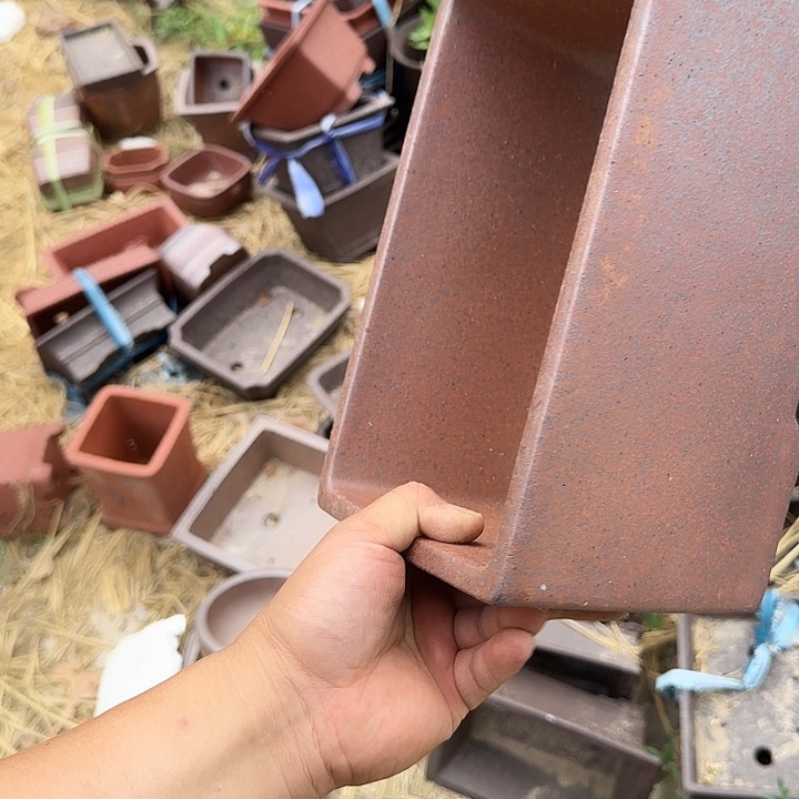 一天只喝一点奶茶和酸奶我