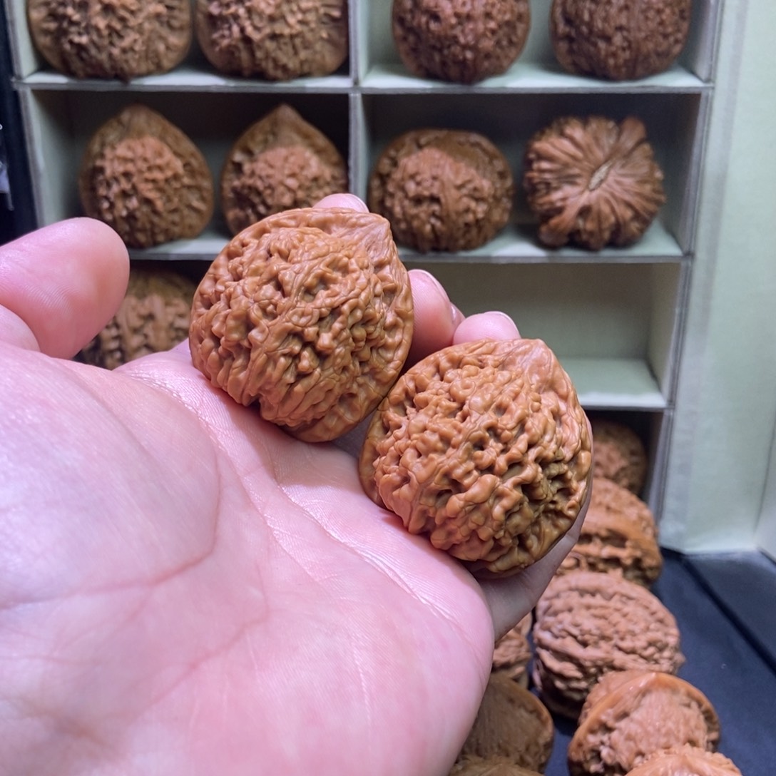 *****文玩核桃吊坠蚂蚁王40